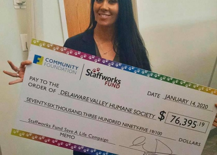 Delaware valley humane society accenture mba salary